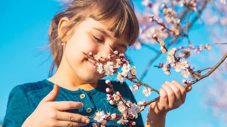 young girl smelling the spring blossoms on a tree